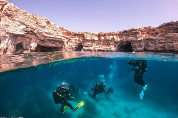 体育培训基地建设与管理策略(图1)